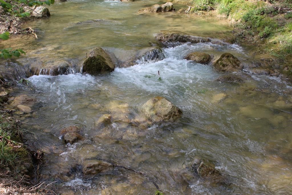 Отель Le Parc De Jouvence Magrie Номер фото